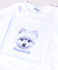 FREDY & GLOSTER(フレディ アンド グロスター) 【新柄追加】【GLOSTER/グロスター】DOG&CAT 犬猫プリントTシャツ