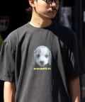 FREDY & GLOSTER(フレディ アンド グロスター) 【新柄追加】DOG&CAT 犬猫プリント ピグメント プリントTシャツ