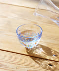 salut!(サリュ) お猪口：80ml／涼を楽しむ夏御膳