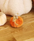 salut!(サリュ) ベロアかぼちゃ：SS／natural halloween