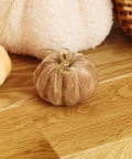 salut!(サリュ) ベロアかぼちゃ：S／natural halloween