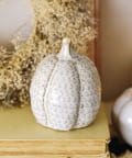 salut!(サリュ) ニットデザインかぼちゃのっぽ／Crochet Halloween