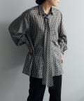 Pasterip(パセリ) Acetate sheer gingham shirt
