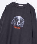 FREDY & GLOSTER(フレディ アンド グロスター) 【人気シリーズ】【DOG&CAT】犬猫ピグメント クルーネックロンT