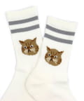 FREDY & GLOSTER(フレディ アンド グロスター) 【ROSTER SOX/ロスターソックス】CAT
