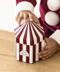 3COINS(スリーコインズ) プレゼントBOX/クリスマス