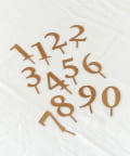 salut!(サリュ) 《WEB限定再入荷》ナンバーピックセット/anniversary