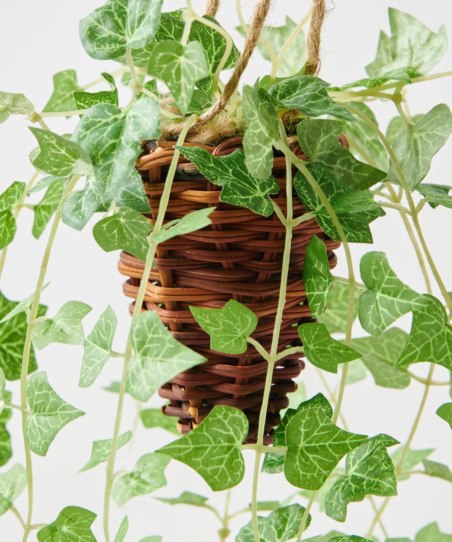 ミニ観葉植物 フェイクグリーン ハンギング アイビー Ciaopanic Typy チャオパニックティピー ライフスタイル Pal Closet パルクローゼット パルグループ公式ファッション通販サイト