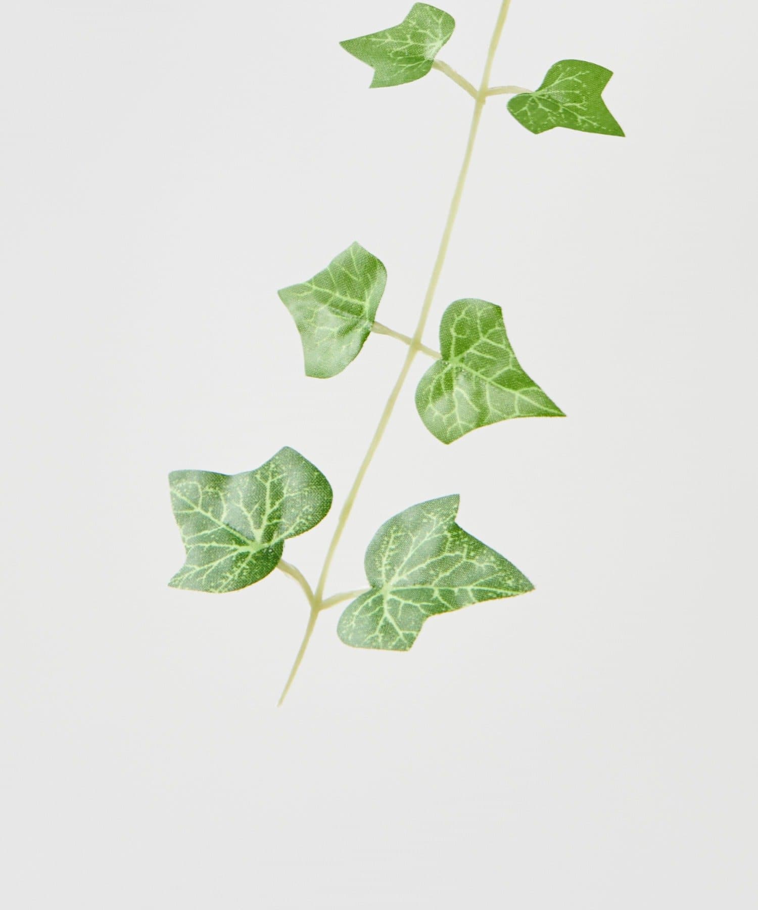 ミニ観葉植物 フェイクグリーン ハンギング アイビー Ciaopanic Typy チャオパニックティピー ライフスタイル Pal Closet パルクローゼット パルグループ公式ファッション通販サイト