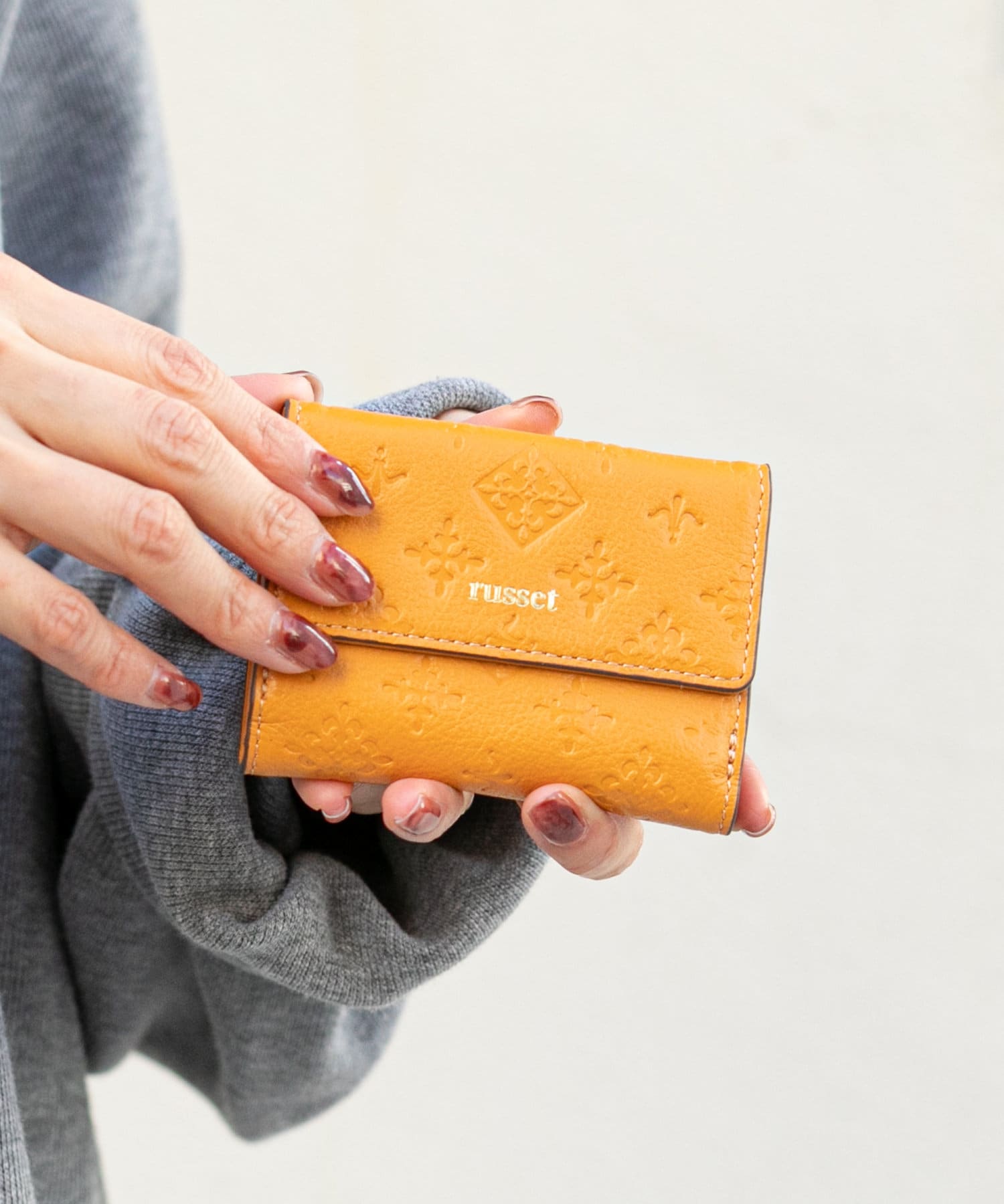 ネコ ラプレシア、アクロスセット ラフィス クローゼットドア 折れ戸 本体×1P(2枚) ノンレールタイプ