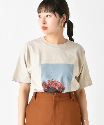 転写フォトプリント半袖T