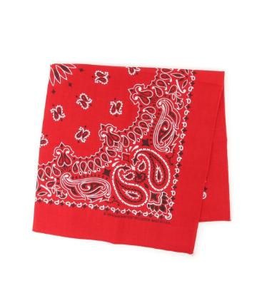 HAV-A-HANK PAISLEY BANDANNA