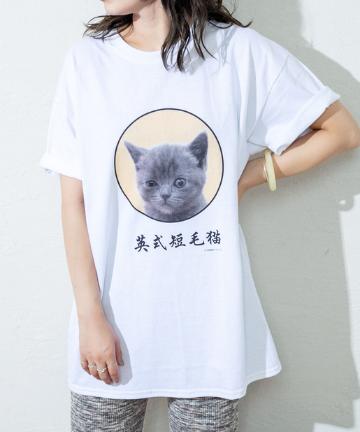 ベナレス 英式短毛 BIG Tシャツ