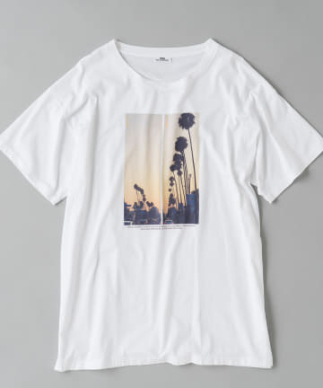 【TICCA/ティッカ】Tシャツ -Plam tree-