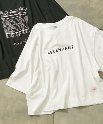 2139T 短丈(photo＆message)/ショート丈Tシャツ