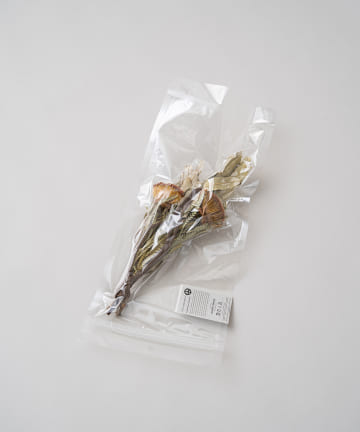 【The Landscapers】PLANTAHOLIC DIFFUSER D