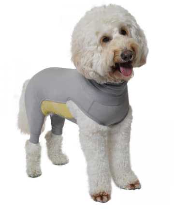 prose verse(プロズヴェール) 【MANDARINE BROTHERS】(3L)ストレッチクールスーツ