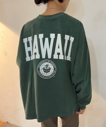 HAWAII TEE