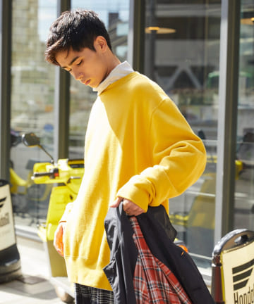 【WHIMSIC】HEAVY WEIGHT SWEAT PULL OVER
