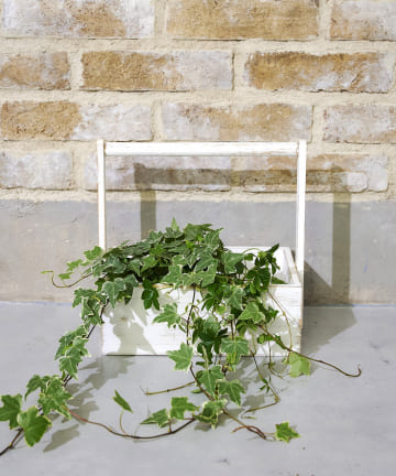 【white garden】ハンドル付きウッドボックス