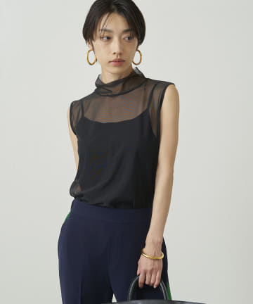 ノースリシアータートル