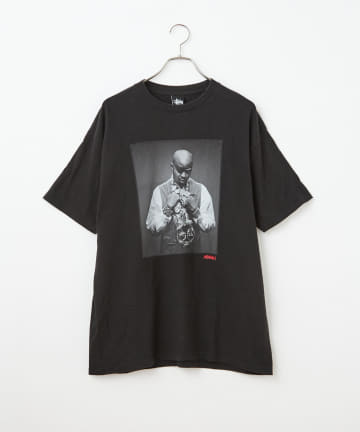 【penguin tripper】old stussy