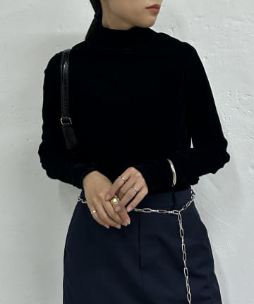 ベロアタートル