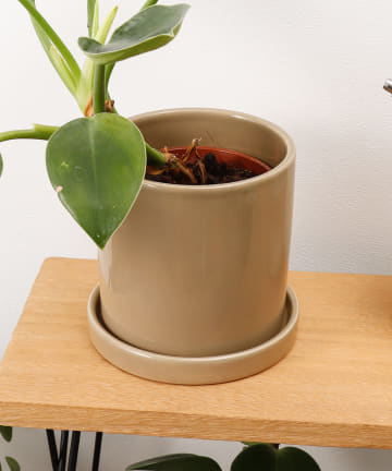 3COINS(スリーコインズ) 皿付きポット3号／Interior Green