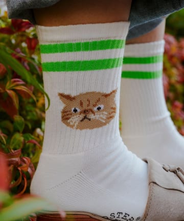 【ROSTER SOX/ロスターソックス】CAT ラインソックス 靴下 日本製