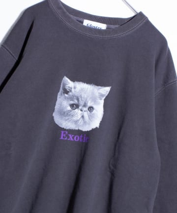 FREDY & GLOSTER(フレディ アンド グロスター) 【GLOSTER】DOG&CAT 犬猫ピグメント クルーネックスウェット