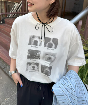 DISCOAT(ディスコート) 【ユニセックス】アソートアニマルボックスフォトTシャツ