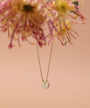 NOLLEY'S(ノーリーズ) 【grâce grace/グラスグラス】シャインプレートネックレス