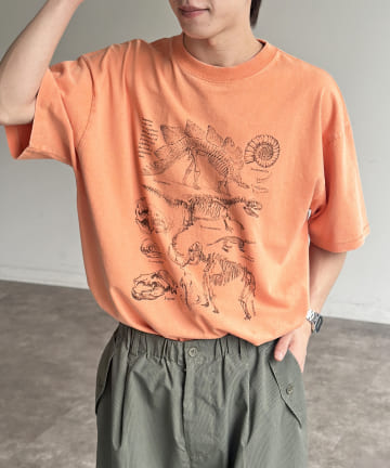 CPCM(シーピーシーエム) カラーパウダーダイナソーT