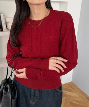 DISCOAT(ディスコート) モチモチケーブル刺繍ロゴプルオーバー《WEB限定カラーあり》