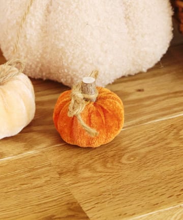 salut!(サリュ) ベロアかぼちゃ：SS／natural halloween
