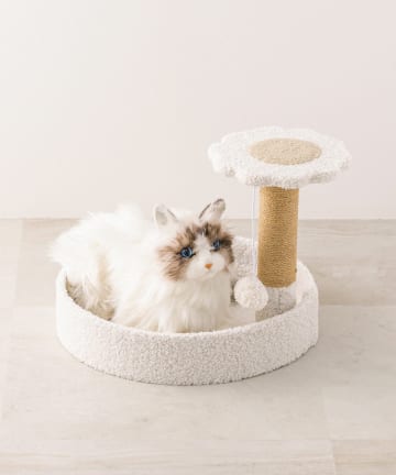 3COINS(スリーコインズ) キャットタワー