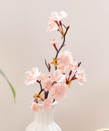 salut!(サリュ) 淡雪の桜／ひなまつり