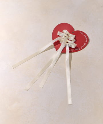 Lattice(ラティス) リボンクリップセット(4P)