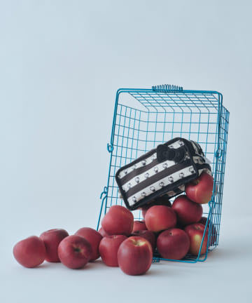 ear PAPILLONNER(イア パピヨネ) 【HELLO KITTY（ハローキティ）×ear】コラボポーチ