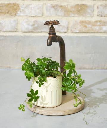 salut!(サリュ) 《WEB限定商品》タップディスプレイスタンド