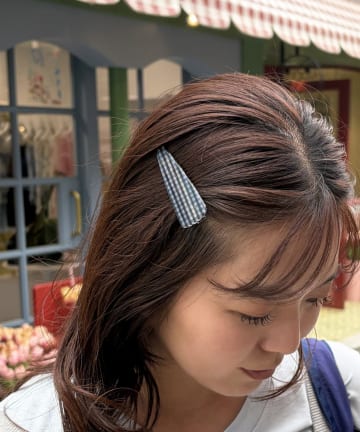 Lattice(ラティス) チェッククリップセット(2P)