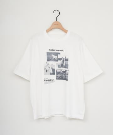 DISCOAT(ディスコート) 【Enlude】アソートアニマルボックスフォトTシャツ
