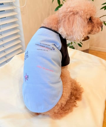 FREDY & GLOSTER(フレディ アンド グロスター) 【FR PETS】メッセージ配色Ｔシャツ