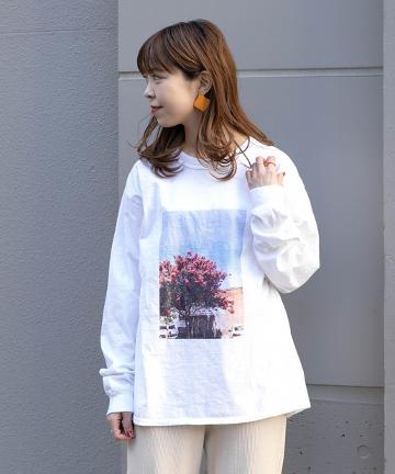 転写フォトプリントロンT