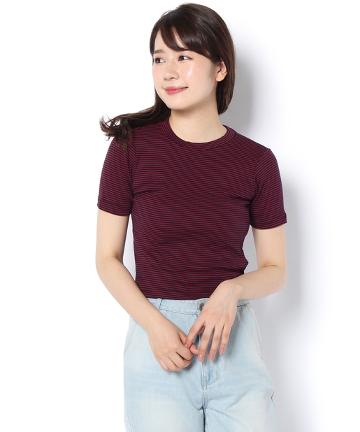 ボーダーコンパクトTEE