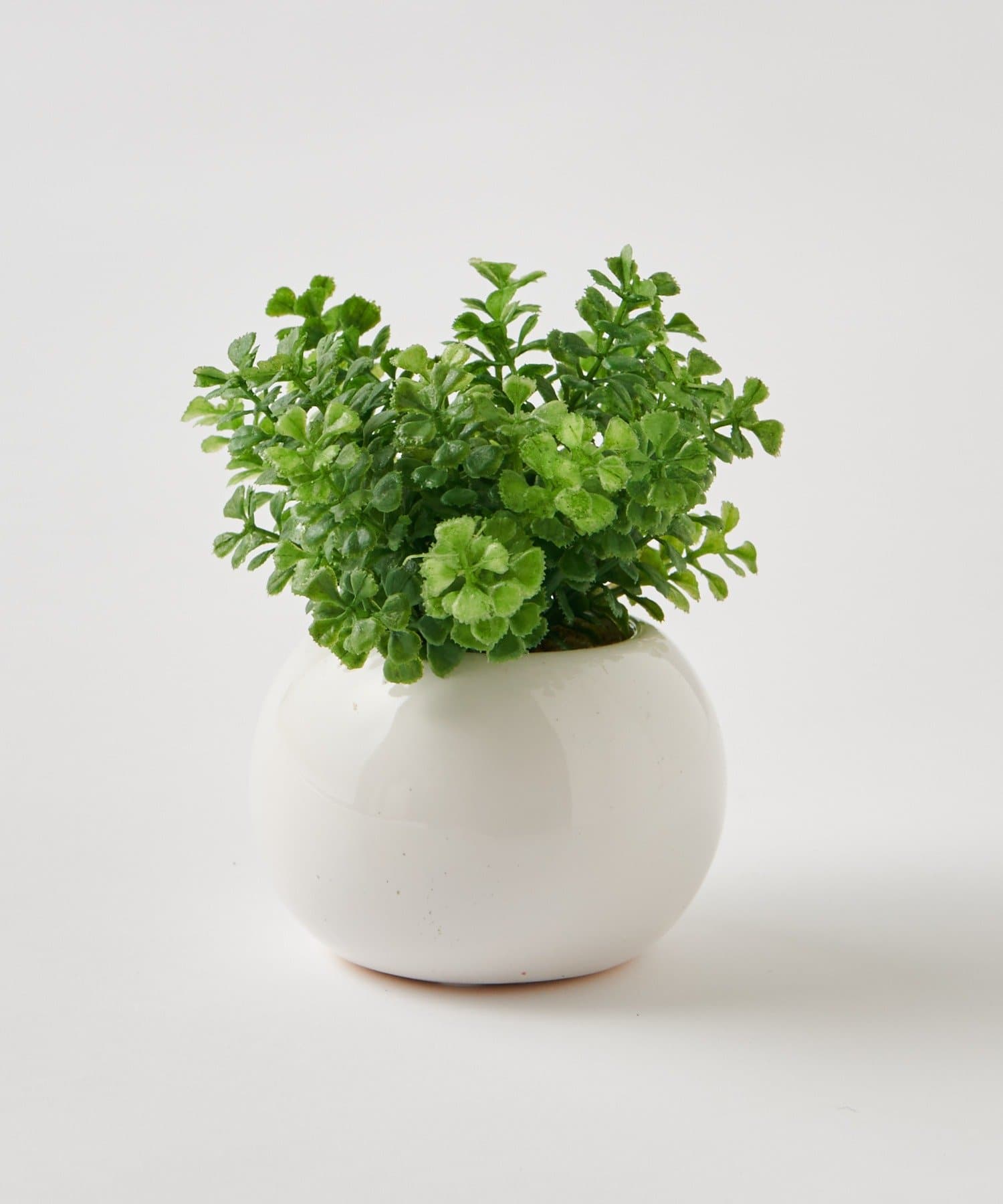 ライネル 18cm インテリア 北欧 ミニ プラン 小さい 植木鉢 おしゃれ 鉢 白 プランター 小型 陶器鉢 皿付き かわいい ミニプラスチック人工植物ベングラスポットでホームデコレーション 緑 と互換性のある Vladatk Gov Ba