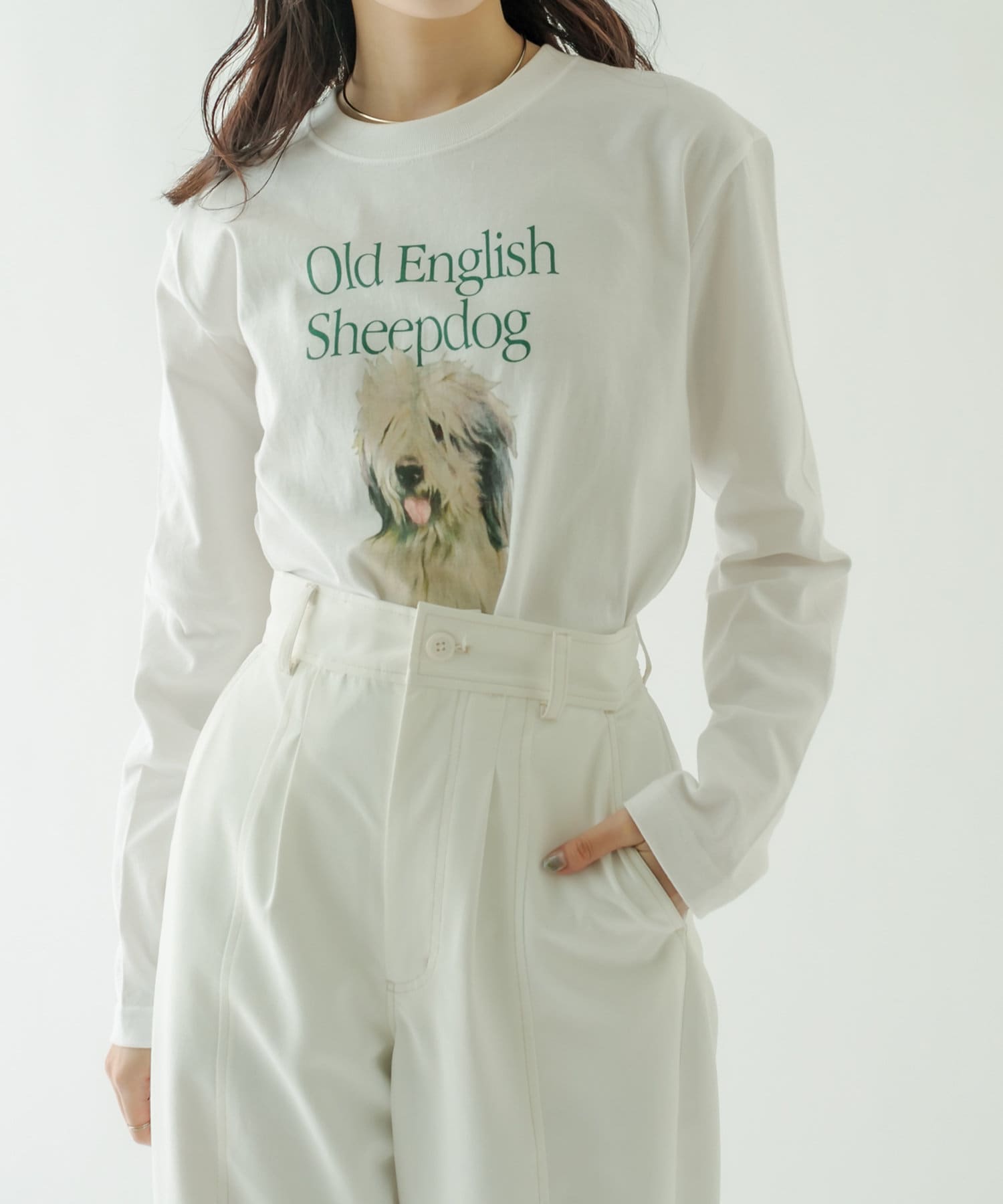 お値下げ！mystic sheepdog ロングTシャツ