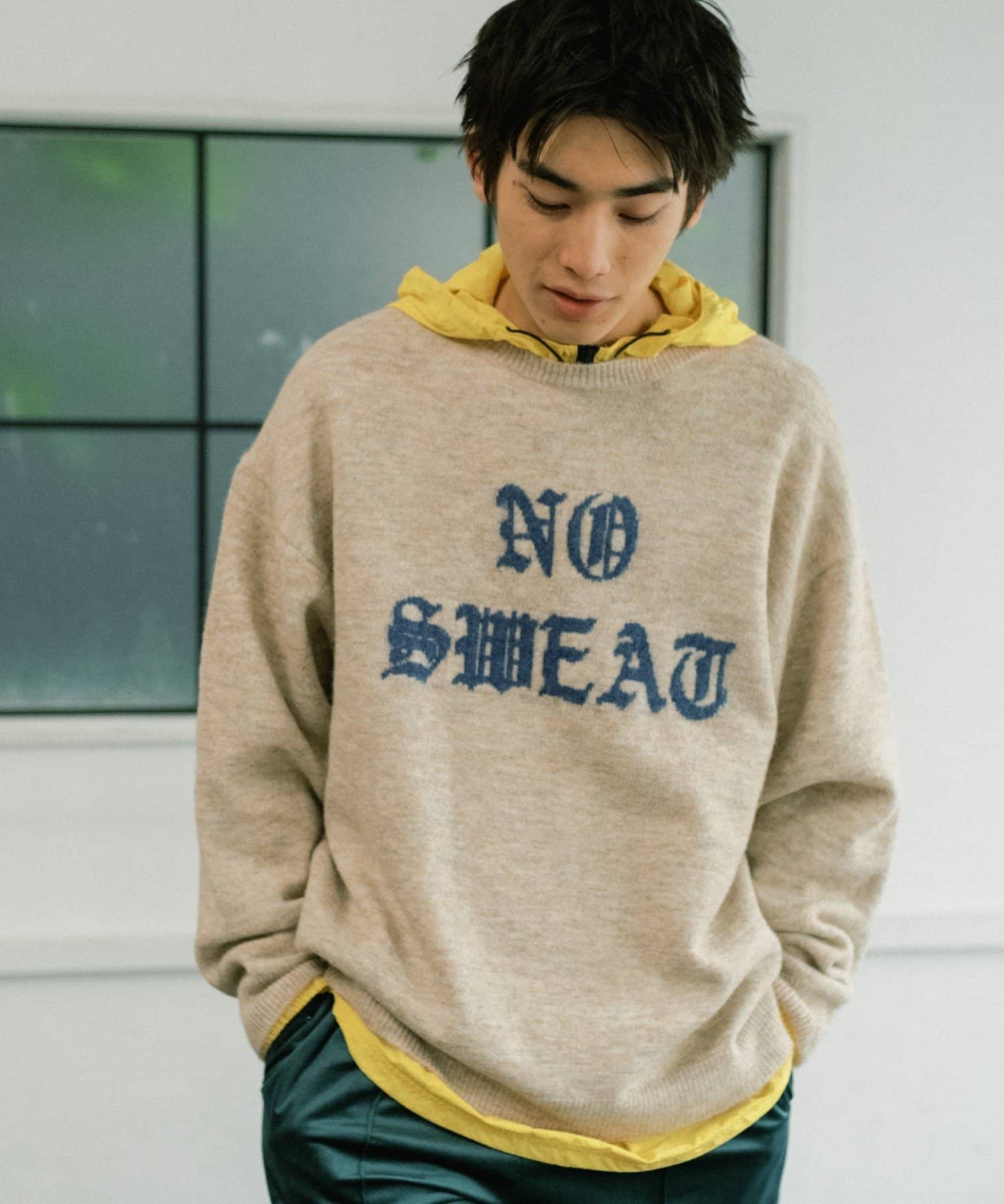 WHIMSIC】LOGO KNIT PULLOVER | Kastane(カスタネ)レディース | PAL 