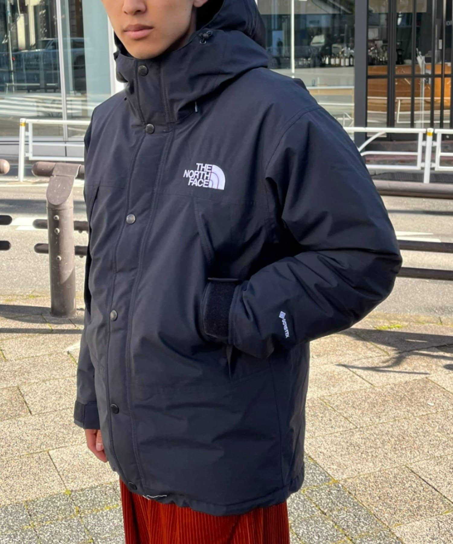 THE NORTH FACE / MOUNTAIN DOWN JACKET