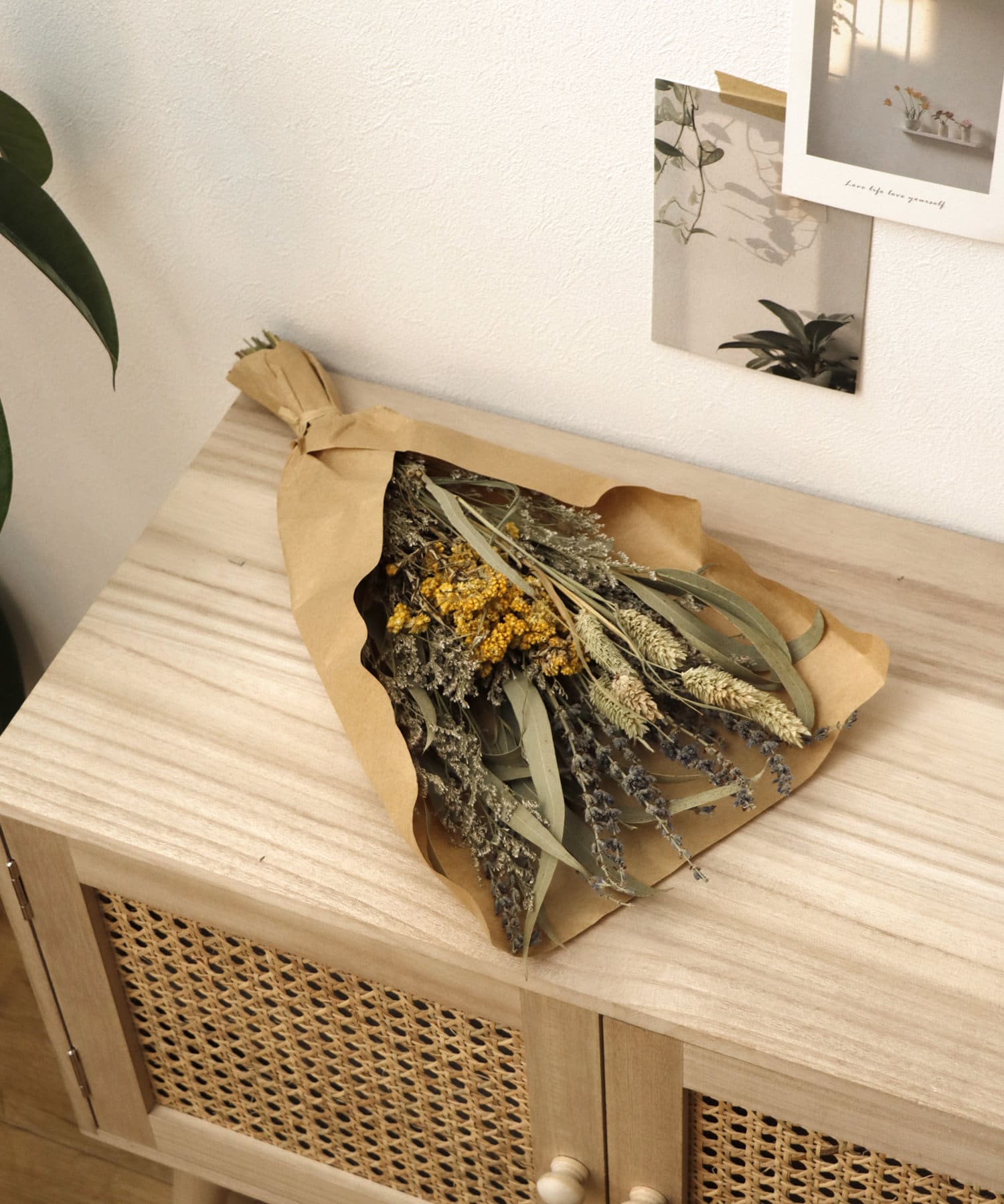 着用商品画像